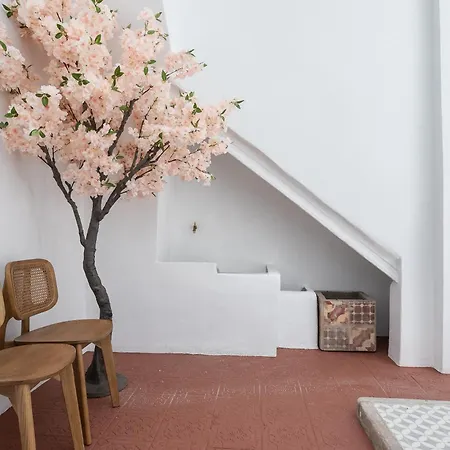 Maison d'hôtes Olivia Boutique Suites&studios District de Faro